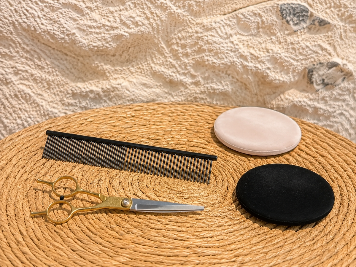 Accessoires de toilettage pour chien : ciseaux, peigne métallique et cotons réutilisables